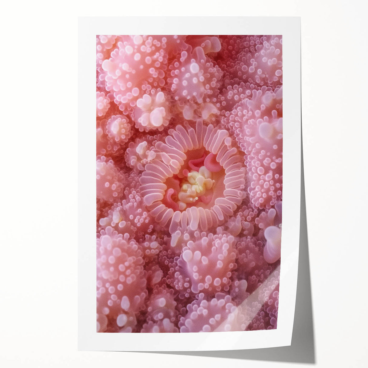Close-up floral art on rolled print featuring vibrant green and pink tones, ideal for dining room wall decor.