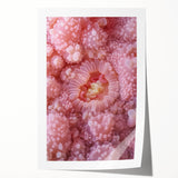 Close-up floral art on rolled print featuring vibrant green and pink tones, ideal for dining room wall decor.