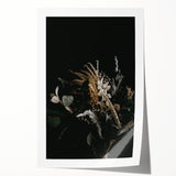 Extra large rolled print depicting fall-themed floral art in warm orange and red tones, ideal for dining room wall decor.