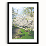 Extra large textured abstract art print featuring vibrant spring colors on a black framed canvas.