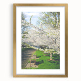 Extra large abstract art print featuring textured swirls in spring colors, framed in gold, ideal for living room decor.