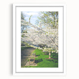 Abstract art print featuring swirling pastel shades on a white framed canvas, suitable for bedroom or dining room decor.