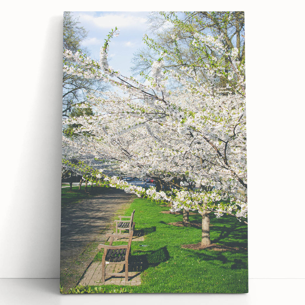 Abstract black and white tree design on large stretched canvas, ideal for kitchen wall art or bedroom ambiance.