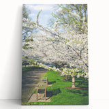 Abstract black and white tree design on large stretched canvas, ideal for kitchen wall art or bedroom ambiance.