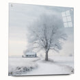 Acrylic print of a winter scene with snow-covered trees in muted white and gray tones.