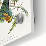 Romanticism Art: Vibrant Butterfly Illustration Canvas Print