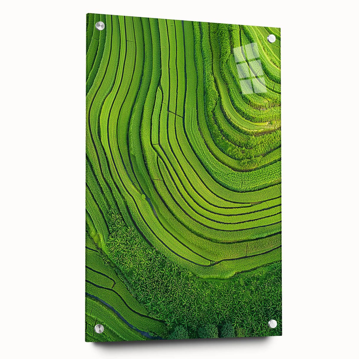 Vibrant acrylic glass landscape artwork depicting rolling green fields and a clear blue sky, showcased from a side view with decorative pins for secure mounting.