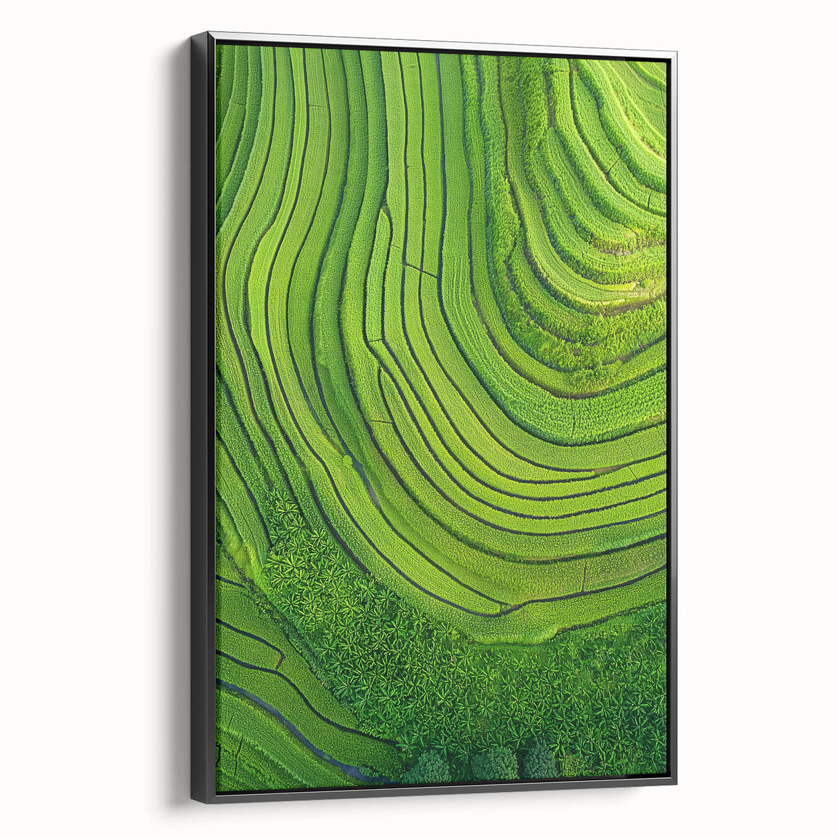 Framed canvas artwork depicting serene landscapes and fields, featuring a black frame and side view, perfect for enhancing home decor with nature-inspired aesthetics.