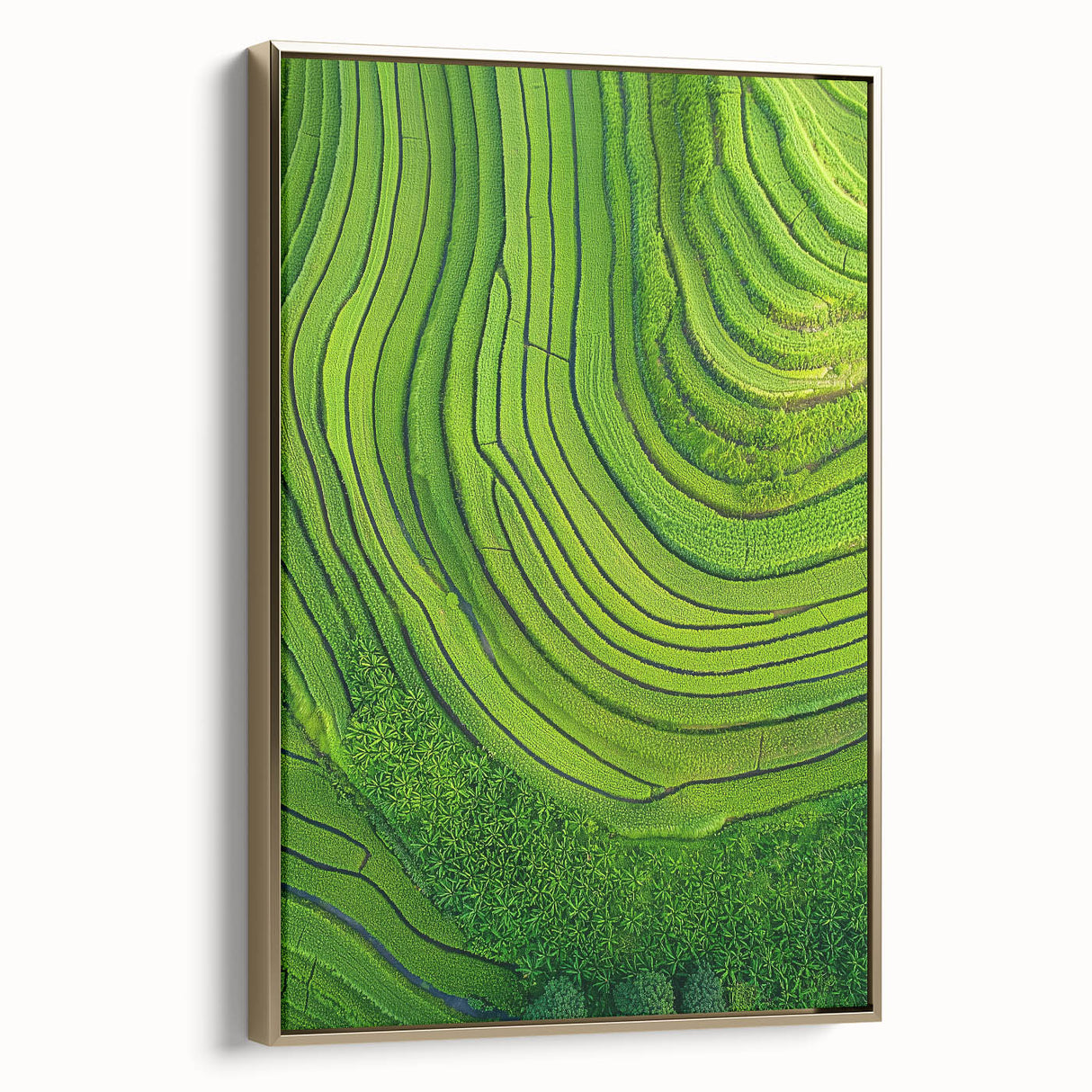 Framed canvas artwork showcasing a vibrant landscape of rolling fields, set in an elegant gold frame, perfect for enhancing interior decor with a touch of nature.