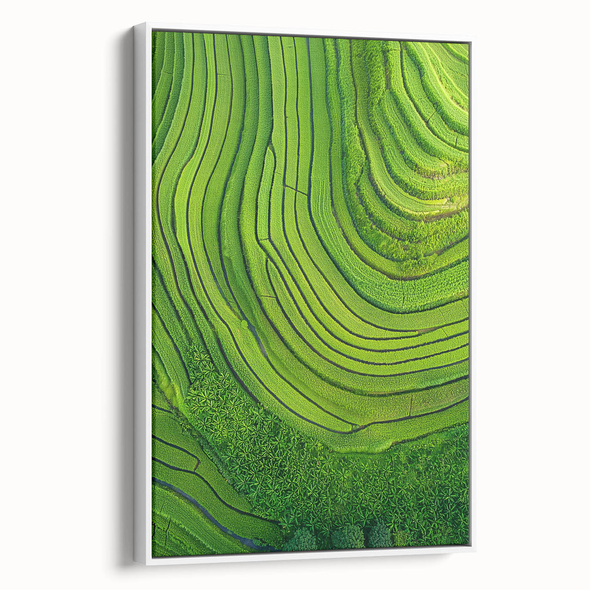 Framed canvas showcasing a serene landscape of rolling fields under a clear blue sky, elegantly displayed with a white frame, ideal for home decor.