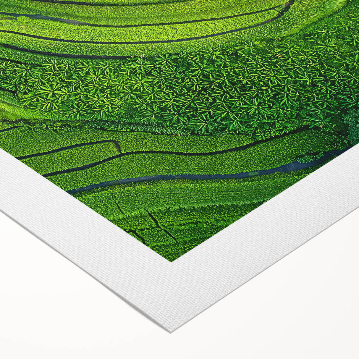 Vibrant rolled canvas showcasing a serene landscape with lush green fields and a clear blue sky, elegantly packaged in a durable cardboard tube for secure delivery.