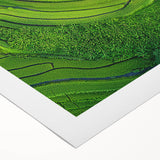 Vibrant rolled canvas showcasing a serene landscape with lush green fields and a clear blue sky, elegantly packaged in a durable cardboard tube for secure delivery.