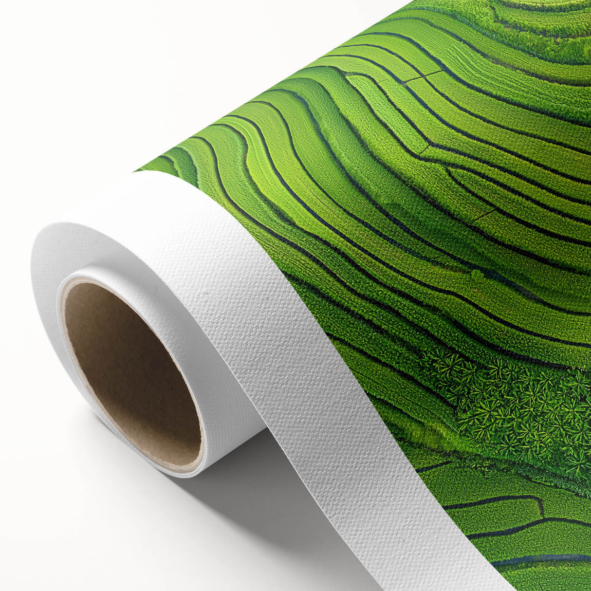 Vibrant rolled canvas showcasing a serene landscape with lush green fields and a clear blue sky, elegantly packaged in a durable cardboard tube for safe transport.