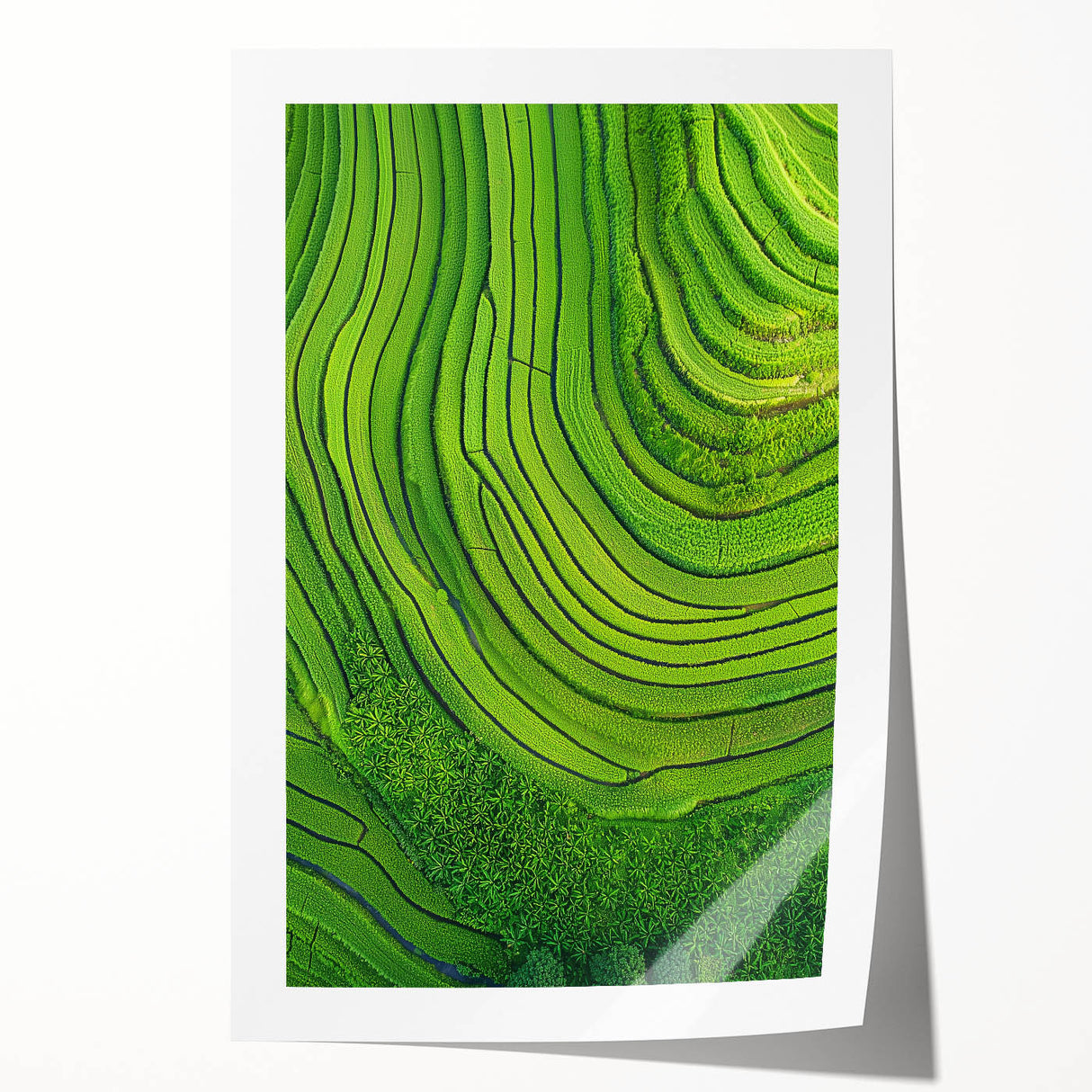 Vibrant landscape print depicting rolling green fields under a clear blue sky, rolled up in a protective cardboard tube, perfect for home or office decor.