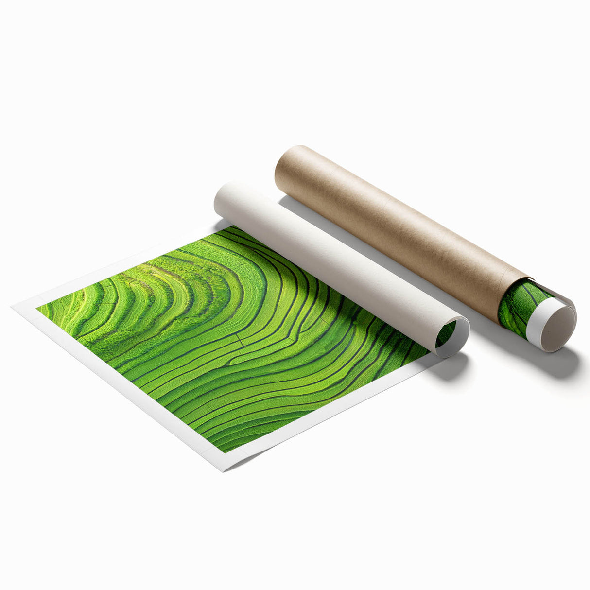 Vibrant landscape print showcasing rolling green fields under a clear blue sky, elegantly rolled and packaged for easy display in a decorative setting.