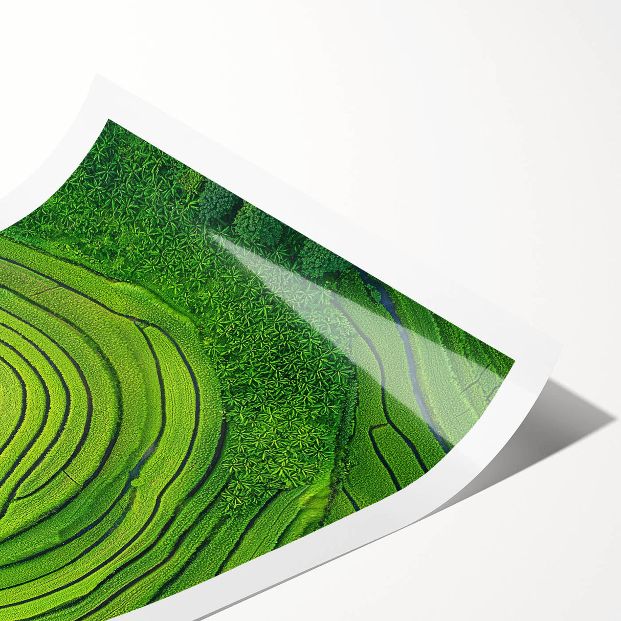 Vibrant rolled landscape print showcasing lush green fields under a bright blue sky, elegantly packaged in a protective cardboard tube for safe shipping.