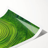 Vibrant rolled landscape print showcasing lush green fields under a bright blue sky, elegantly packaged in a protective cardboard tube for safe shipping.
