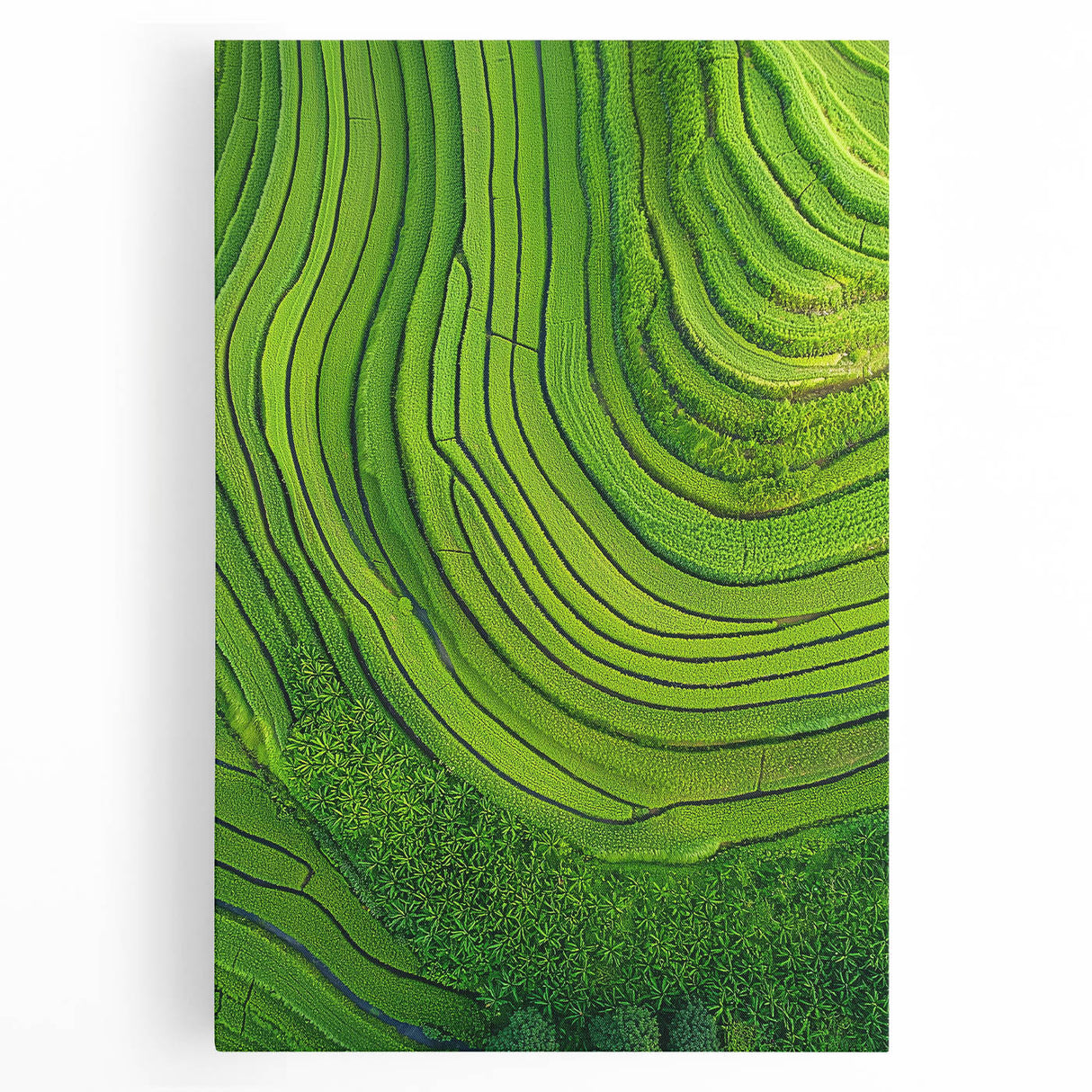 Stretched canvas artwork depicting vibrant green fields under a bright blue sky, showcasing a serene landscape with rolling hills, perfect for home decor.