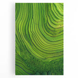Stretched canvas artwork depicting vibrant green fields under a bright blue sky, showcasing a serene landscape with rolling hills, perfect for home decor.