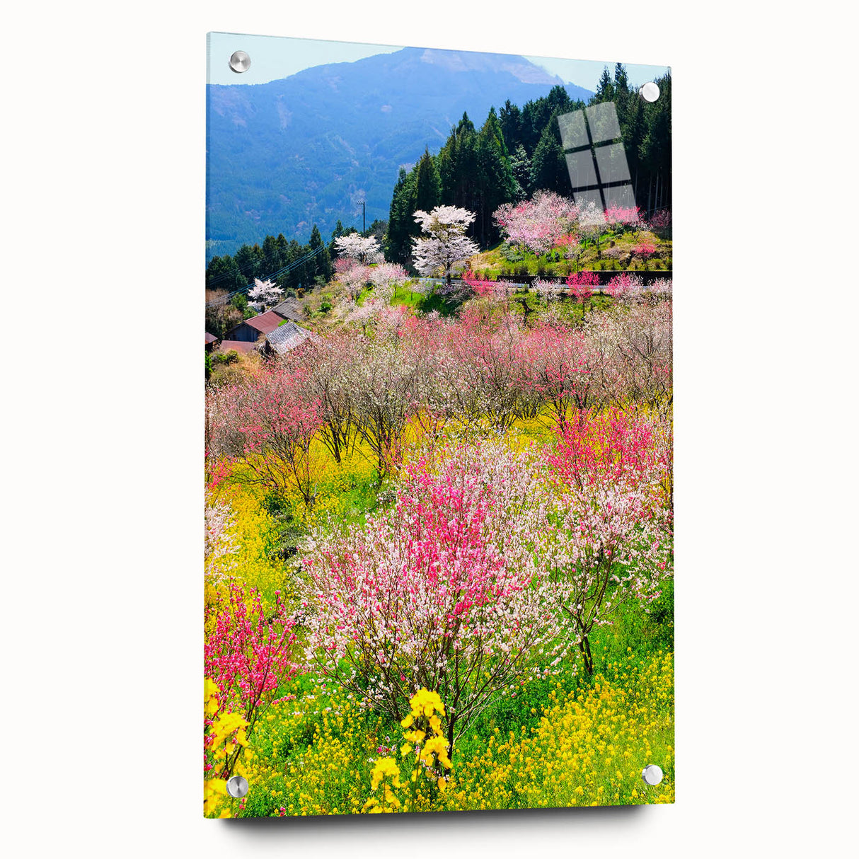 Large abstract wall art on acrylic glass depicting vibrant spring hues, ideal for bedroom or dining room decor.