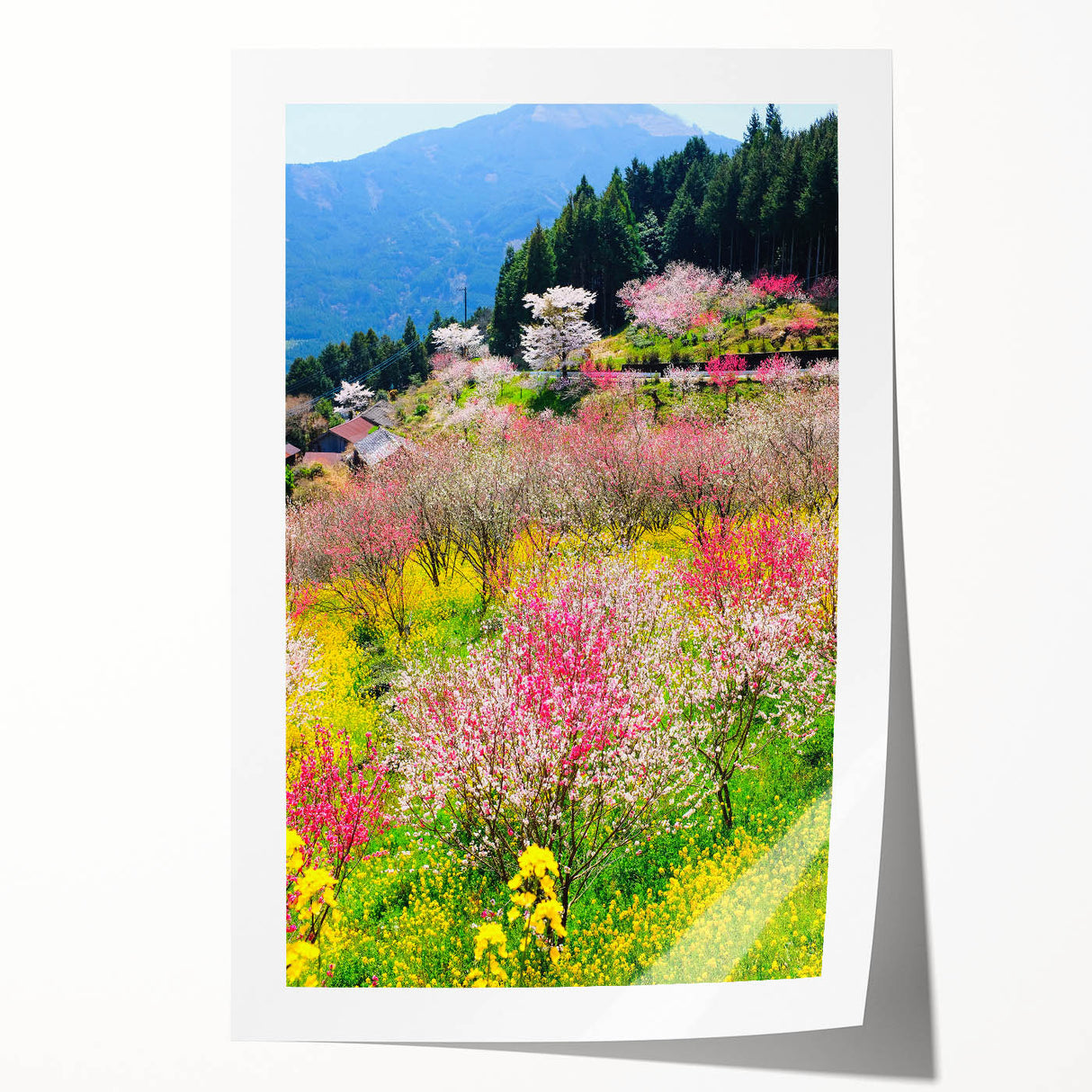 Spring-themed floral art on a rolled canvas, featuring soft pastel colors, ideal for art wall dining room decor.