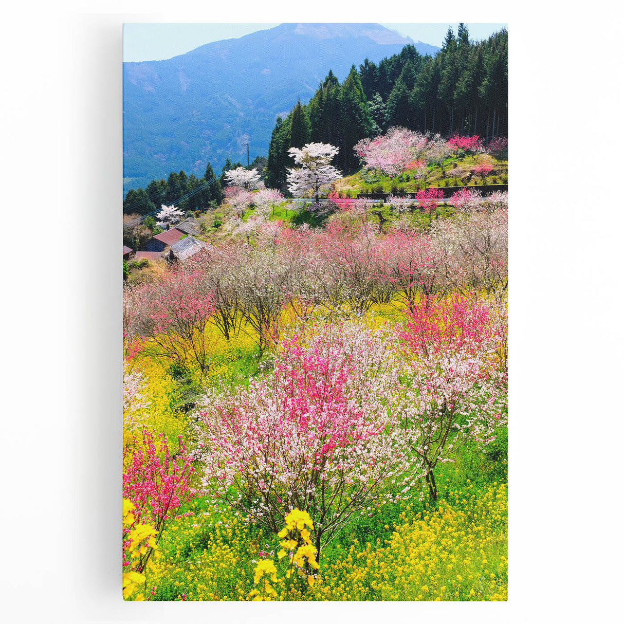 Black and white abstract depiction of spring on large stretched canvas, suitable for kitchen wall art.