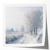 Winter scene with snow-covered trees on glossy photo print, using cool blue and white tones.