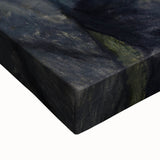 Carmen by Henri de Toulouse-Lautrec - Captivating Portrait Wall Art