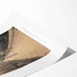 Extra large wall art featuring line art flowers in black on a white background, rolled canvas.