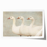 Vintage Geese Nursery Wall Art - Framed Baby Art Prints