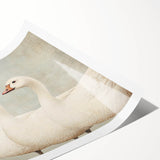 Vintage Geese Nursery Wall Art - Framed Baby Art Prints