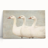Vintage Geese Nursery Wall Art - Framed Baby Art Prints