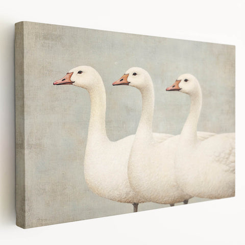 Vintage Geese Nursery Wall Art - Framed Baby Art Prints