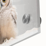 Adorable Baby Owl Wall Art - Perfect for Kids Room Decor