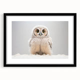 Adorable Baby Owl Wall Art - Perfect for Kids Room Decor