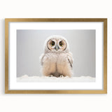 Adorable Baby Owl Wall Art - Perfect for Kids Room Decor