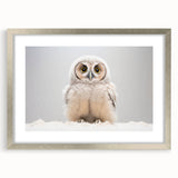 Adorable Baby Owl Wall Art - Perfect for Kids Room Decor