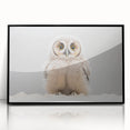 Adorable Baby Owl Wall Art - Perfect for Kids Room Decor