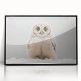 Adorable Baby Owl Wall Art - Perfect for Kids Room Decor