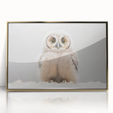 Adorable Baby Owl Wall Art - Perfect for Kids Room Decor