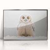 Adorable Baby Owl Wall Art - Perfect for Kids Room Decor