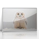 Adorable Baby Owl Wall Art - Perfect for Kids Room Decor