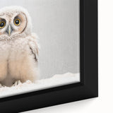 Adorable Baby Owl Wall Art - Perfect for Kids Room Decor