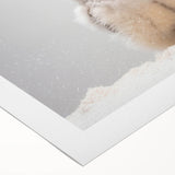 Adorable Baby Owl Wall Art - Perfect for Kids Room Decor