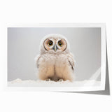 Adorable Baby Owl Wall Art - Perfect for Kids Room Decor