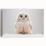 Adorable Baby Owl Wall Art - Perfect for Kids Room Decor