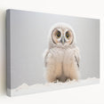 Adorable Baby Owl Wall Art - Perfect for Kids Room Decor