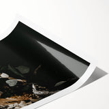 Extra large wall art featuring line art flowers in autumnal hues on a rolled print.