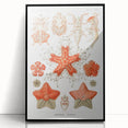 Modern Wall Art: Asteridea Design in Vibrant Coral Tones