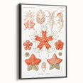 Modern Wall Art: Asteridea Design in Vibrant Coral Tones